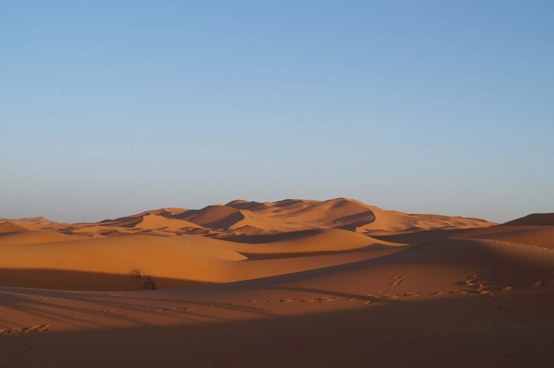Dunes de sable du Sahara au lever du soleil